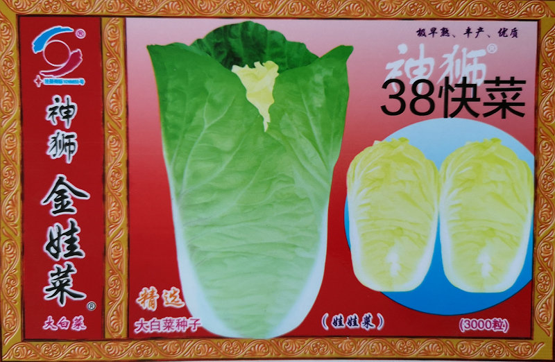 38快菜——精品快菜